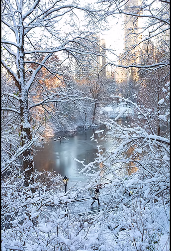 Central Park Snow 2017 (2020).jpg